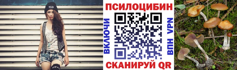 МЕГА ONION  магазин  наркотиков  Шахты  Псилоцибиновые грибы Cubensis 